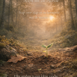 Een jonge plant die uit de aarde groeit in een bos bij zonsopkomst, symbool voor groei en een nieuwe stap van Stem uit de Aarde.