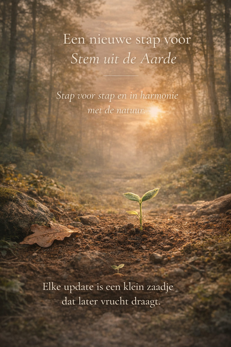 Een jonge plant die uit de aarde groeit in een bos bij zonsopkomst, symbool voor groei en een nieuwe stap van Stem uit de Aarde.