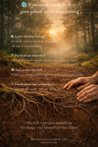 Zonslicht door een stil bos met handen in de aarde en zichtbare wortels, symbool voor een levende aarde en verbondenheid tussen mens en natuur.