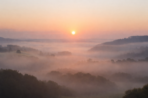 Welkom bij Stem uit de Aarde